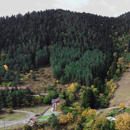 Holiday Borjomi Qvibisi Exterior photo