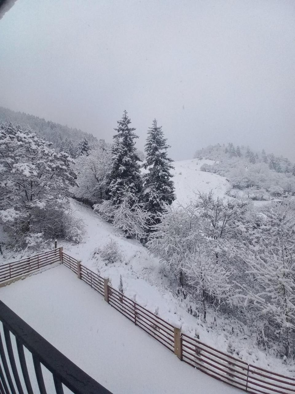 Holiday Borjomi Qvibisi Exterior photo