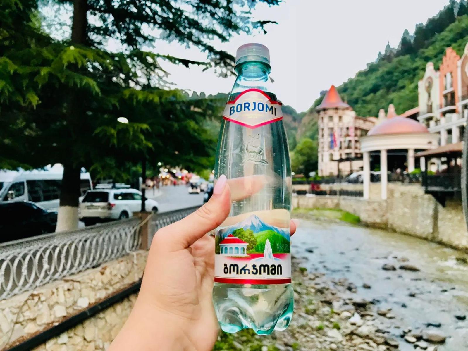 Holiday Borjomi Qvibisi Exterior photo